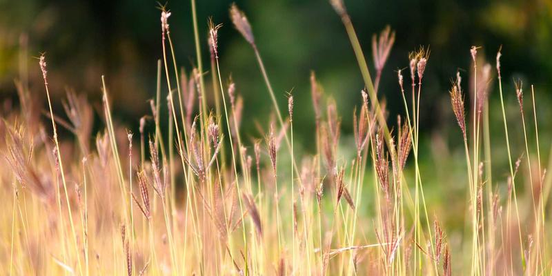 中国电子设备41:仪器仪表与工业自动化的融合创新之路