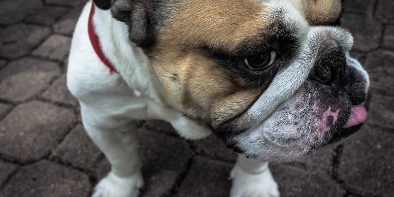 中国电子设备72：未来科技驱动的电子元器件与仪器创新之路