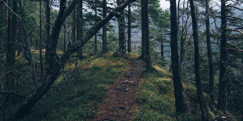 中国电子设备94:工业自动化浪潮下的核心元器件与测试测量技术演进