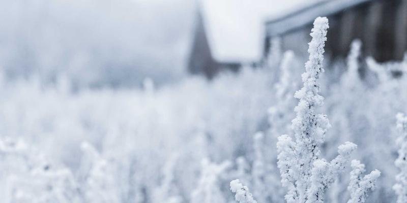 从测试测量到未来科技：中国电子设备崛起的创新密码