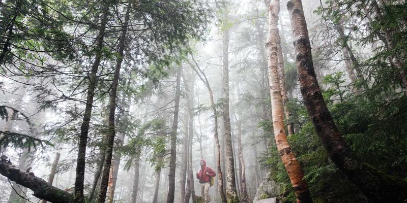 仪器仪表与电子元器件驱动：中国智能家居出海的市场机遇与工业自动化融合挑战