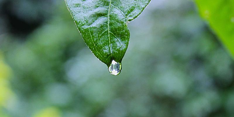 国产FPGA赋能雷达信号处理：电子测试系统的新突破