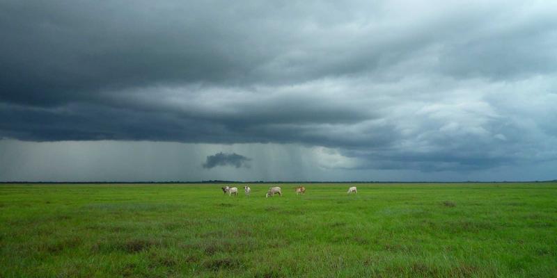 工业自动化与测试测量新视界：AR/VR微显示技术如何重塑中国电子设备交互体验