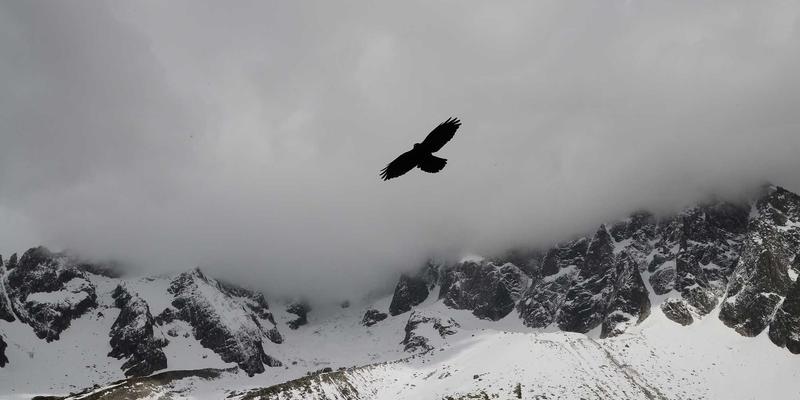 未来科技基石：中国半导体设备零部件供应链如何重塑电子设备制造与测试测量格局