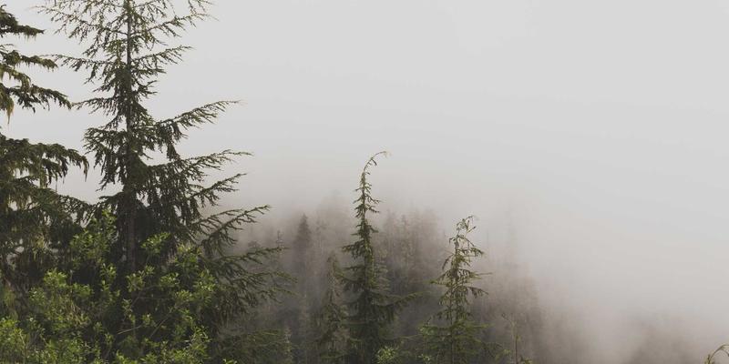 电子仪器与未来科技：政策与创新双轮驱动医疗设备国产化进程