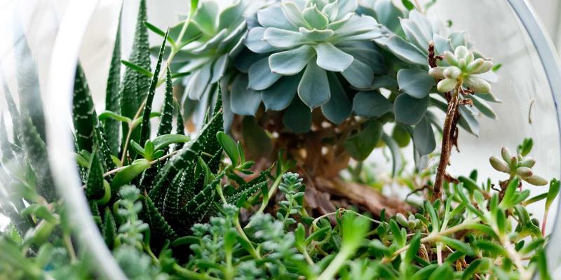 电子元器件与测试测量：碳中和目标下工业能效提升的双引擎