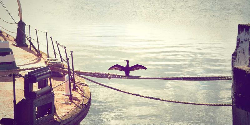 边缘计算网关：中国电子仪器与元器件在工业物联网数据本地化处理中的核心作用